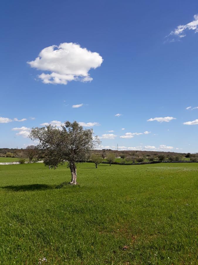 Вілла Enjoytrulli - Countryside Ночі Екстер'єр фото
